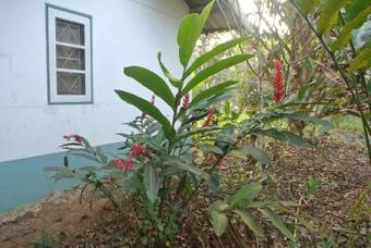 Ver fotos