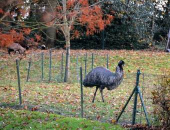 B&B Haras Des Chartreux