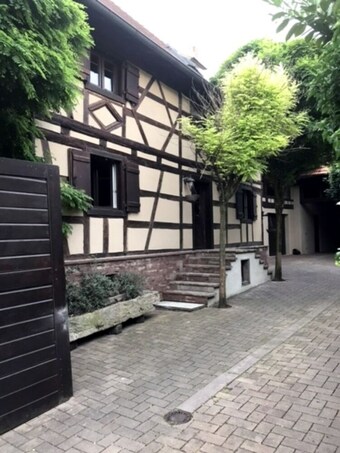 Willy's House