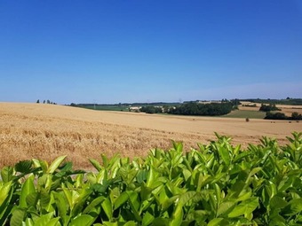 Ver fotos