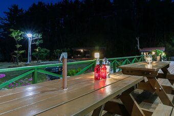 Dolbit Pension