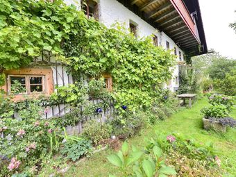 Cosy Apartment In Altreichenau Near The Forest