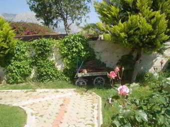 Ver fotos