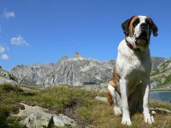 Hotel La Cord�e Des Alpes