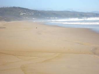 103 The Dunes