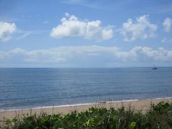 Sea Wood Delight In Hervey Bay