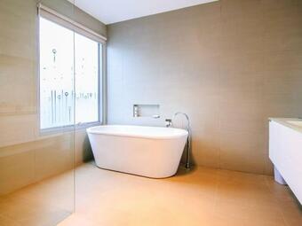 Ironbark On Dolphin