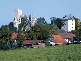 Ferienh�user Waldferiendorf Regen