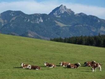 Apartamento Ferienwohnung Del Toso _alpenblick_