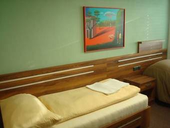 Hotel Panon