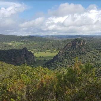 Ver fotos