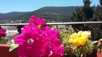 Hostal La Cigue�a