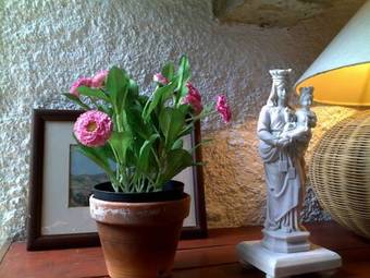 Quinta Da Varzea