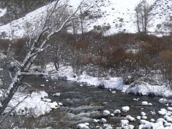Hotel Hostal Asador La Monta�a
