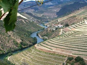 Douro House
