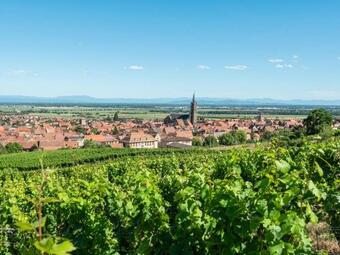Pleasant Apartment In Dambach-la-ville Near Town Centre