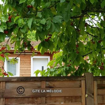 G�te La M�lodie