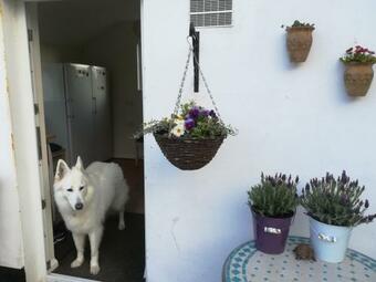 Bed & Breakfast Treverbyn House