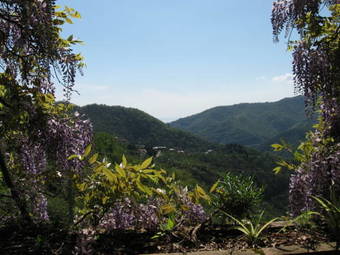 B&B I Glicini