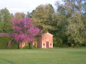 Agroturismo Palazzo Minelli
