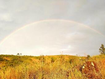 Hotel Laurel Heights Resort Idukki