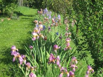 Bed & Breakfast Monti Del Sole