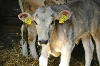 Ver fotos