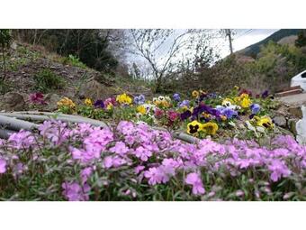 Ver fotos