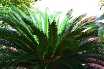 House With 2 Bedrooms In Riviere Salee With Wonderful City View Furnished Garden And Wifi