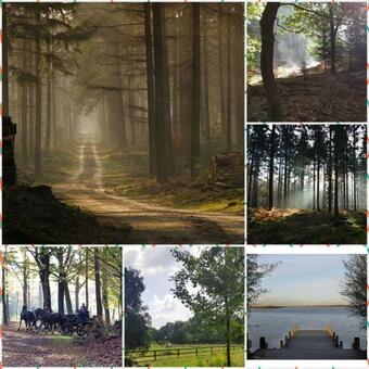 Reewold Veluwe