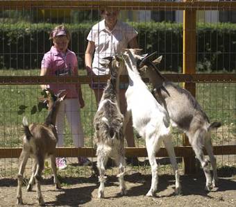 Ver fotos