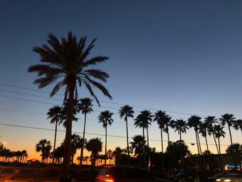 #505 Shores Of Madeira