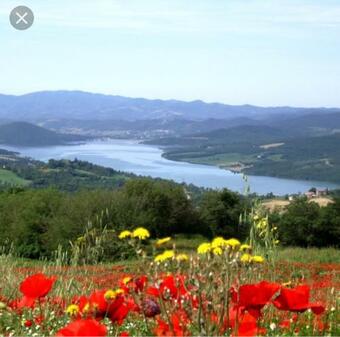 B&B Del Lago