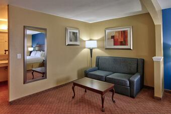 Holiday Inn Express Hotel & Suites Houston-downtown Conv Ctr