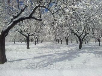 Ver fotos
