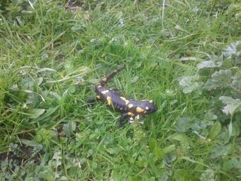 Ver fotos