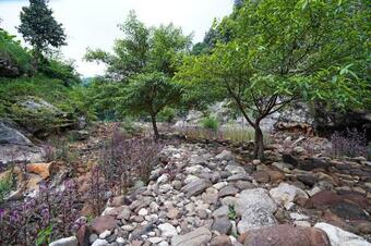 Hotel Oyo Homes 90916 Eco Tourism Geopark Rajamandala Homestay Syariah
