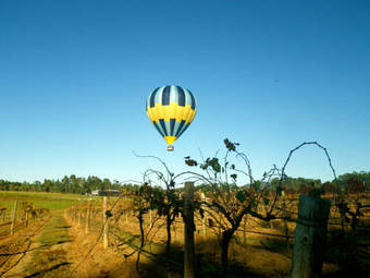 Lovedale Balloon Cottage