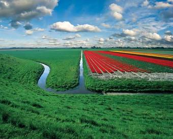 Hotel Restinn Andijk