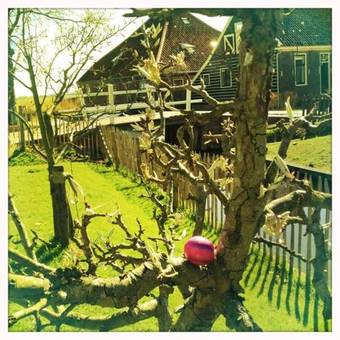 Guesthouse Boom