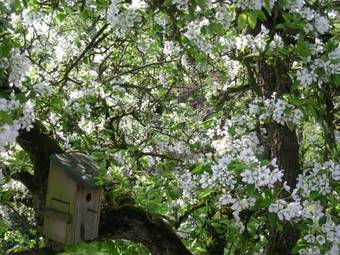 Bed & Breakfast Het Aambeeld