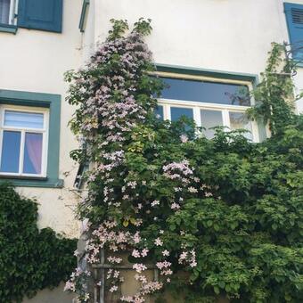 Apartamento Maison Milabee