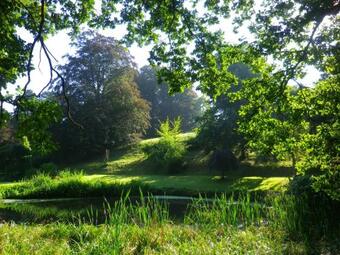 Bed & Breakfast Ch�teau De Bonne Esp�rance