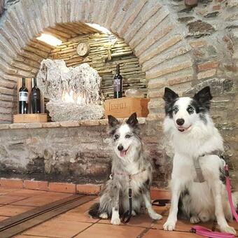Cal Batistet Ferrer