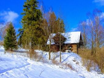 Wideta