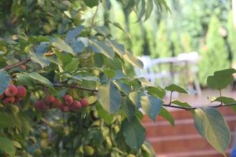 Ver fotos