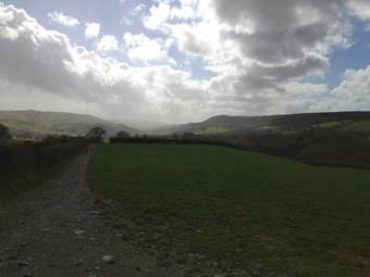 Llys Y Coed