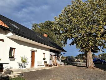Hostal ?enovick� Dv?r
