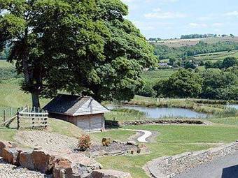 Tan-y-dderwen