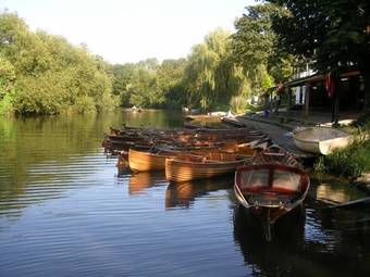 Ver fotos